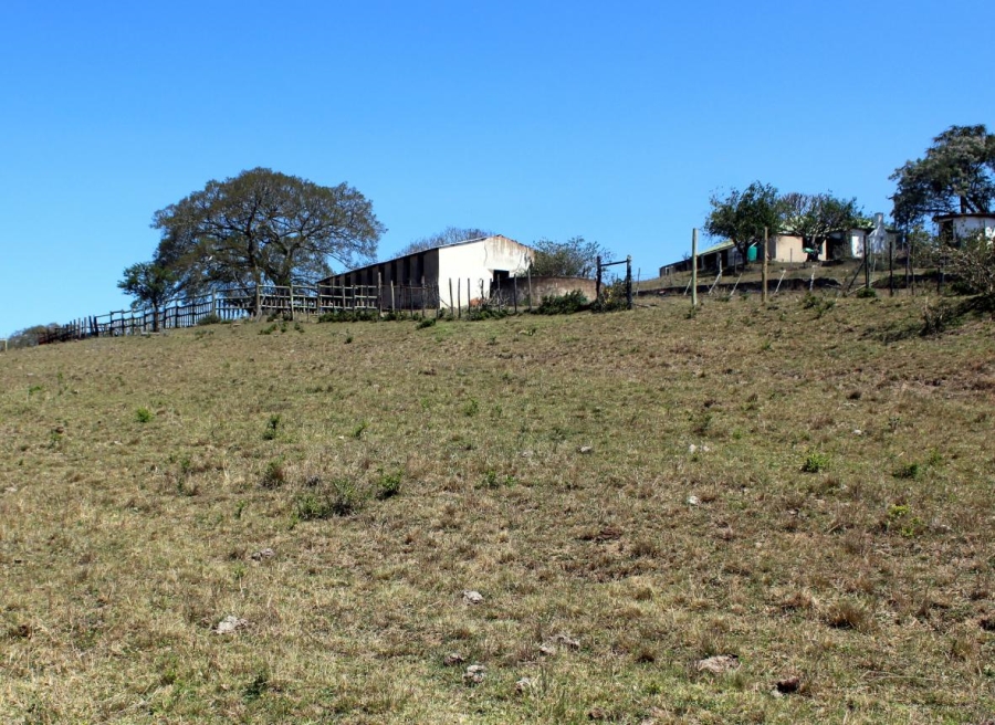 Commercial Property for Sale in Komga Rural Eastern Cape